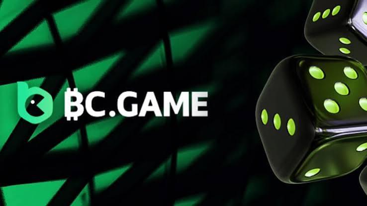Unlock Your Gaming Potential A Comprehensive Guide to BC.Game Mirror Promo Codes